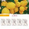 5pcs Lemon