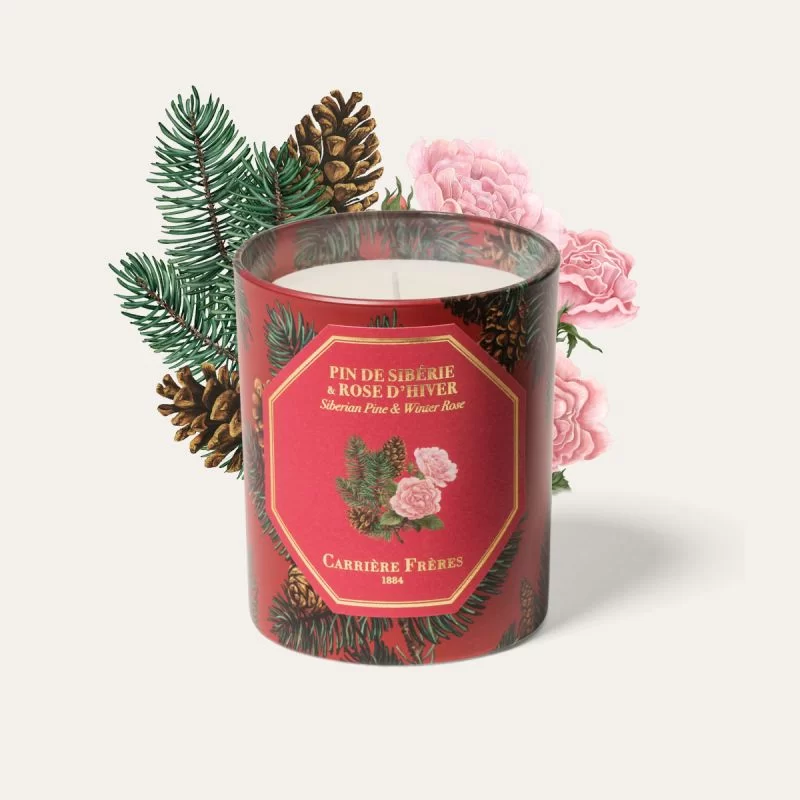 Pinecone Ginger-Scented Candles for Energy: Boost Your Focus and Vitality