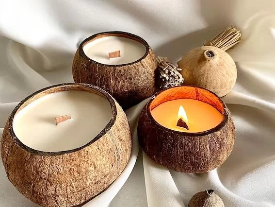 Shell Ginger-Scented Candles for Warmth: Create a Cozy, Inviting Atmosphere