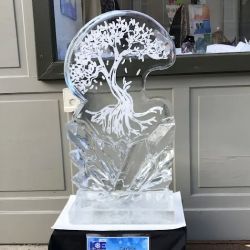 Carlisle Creative Vibes ico