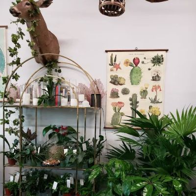 Grounded Plant and Floral Co