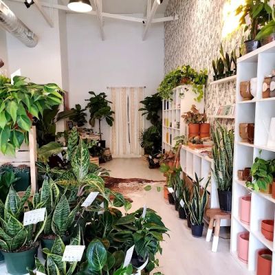 Botanical Bar