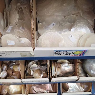 Sea Shell City, Inc