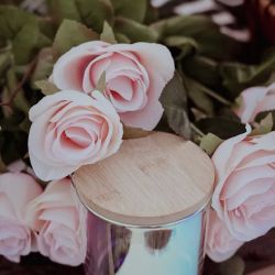 The Rose Market | Candle Bar & Shop ico
