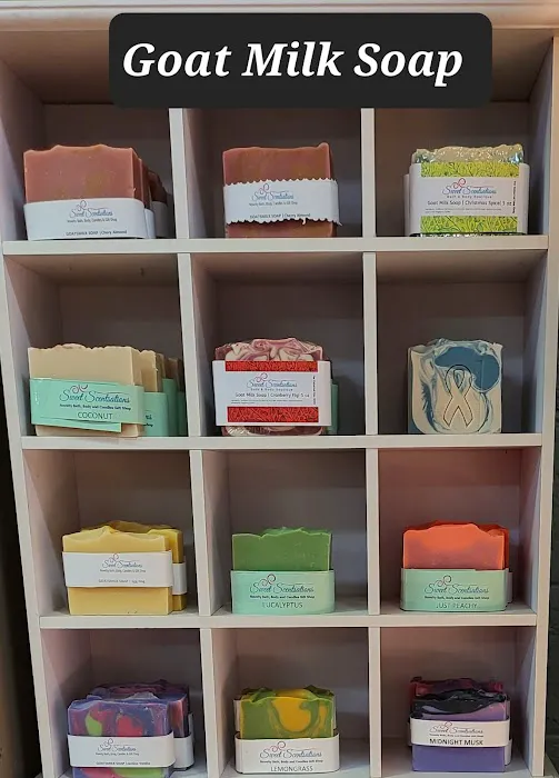 Sweet Scentstations 5