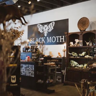 Black Moth