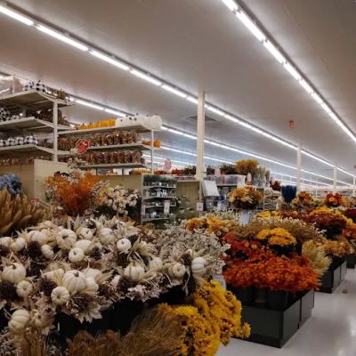 Hobby Lobby