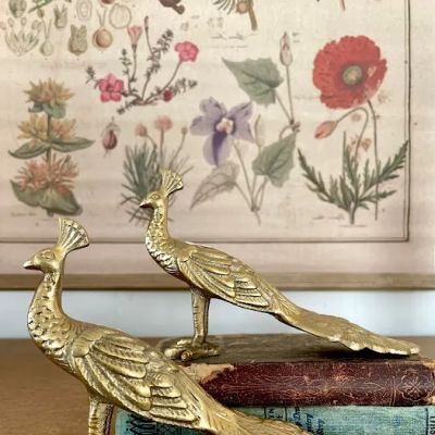Arabella Home