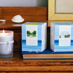 Eastern Shore Candle Co LLC ico