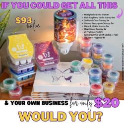 Alex Patterson Independent Scentsy Consultant (That Smelly Chick Scents) ico