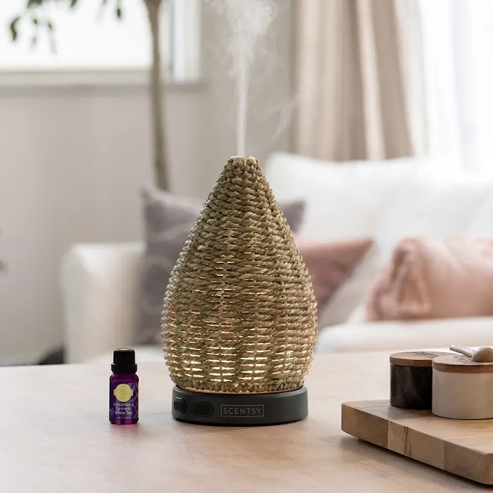 Alex Patterson Independent Scentsy Consultant (That Smelly Chick Scents) 2