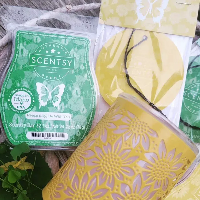 Alex Patterson Independent Scentsy Consultant (That Smelly Chick Scents) 9