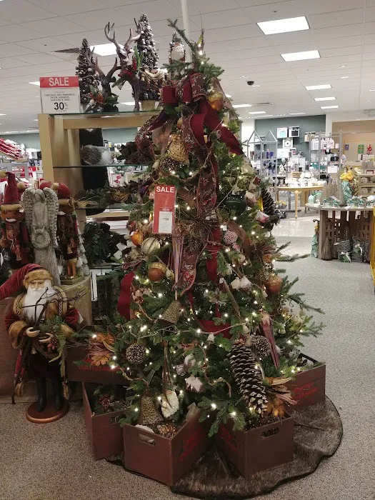Dillard's 8