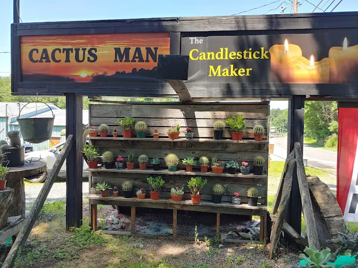 Cactus man 0