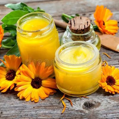 Scents Time Began