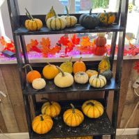 Country Cottage Boutique LLC
