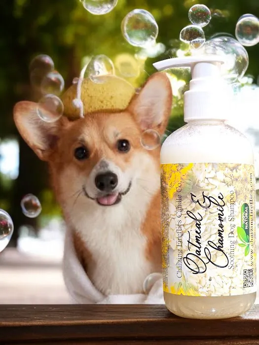 Chaizing Fireflies Candle Co. 1