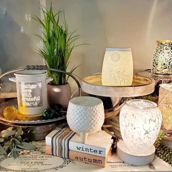 Spazents-Independent Scentsy Consultant 0