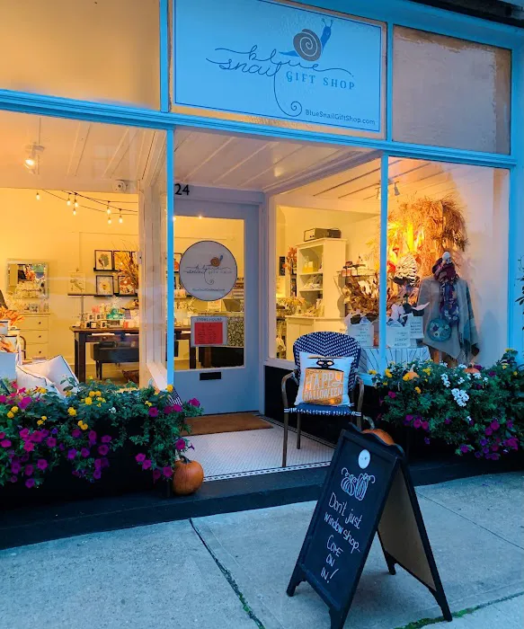 Blue Snail gift shop 4