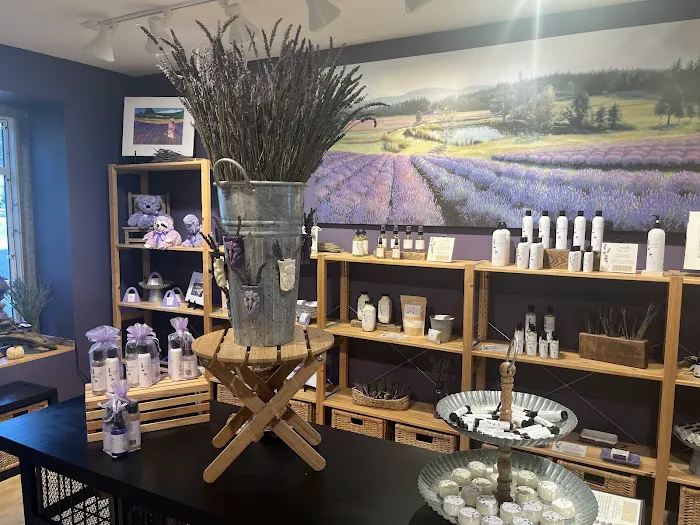 Pelindaba Lavender Amelia Island 4