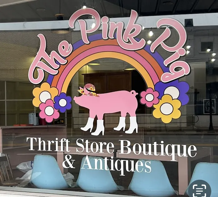 The Pink Pig 0