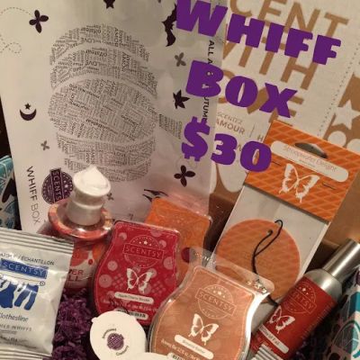 Misty Johnson - Scentsy Independent Consultant