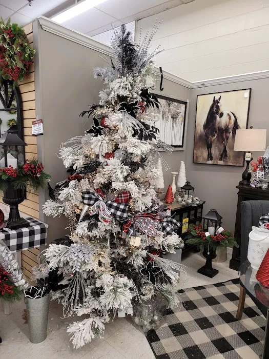 Trees n Trends - Henderson, KY 5