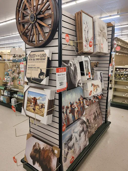 Hobby Lobby 5