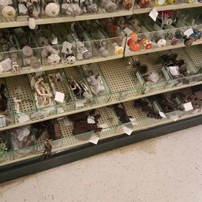 Hobby Lobby