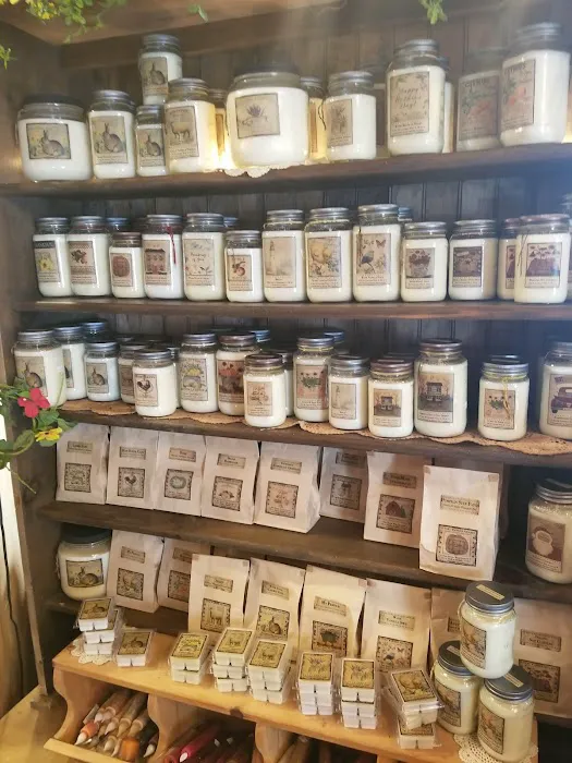 Country Beary Shack 2