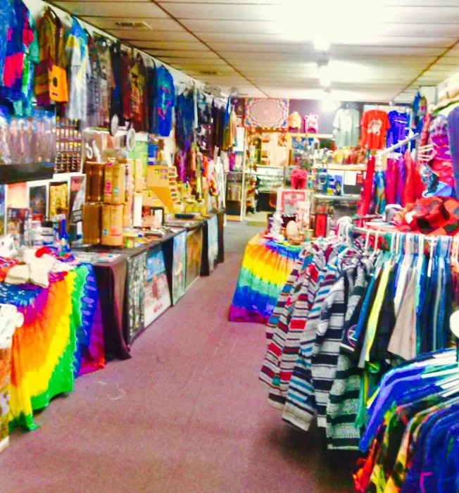 East Coast Psychedelics Inc. Mt. Sinai NY 3