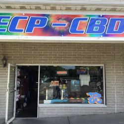 East Coast Psychedelics Inc. Mt. Sinai NY ico