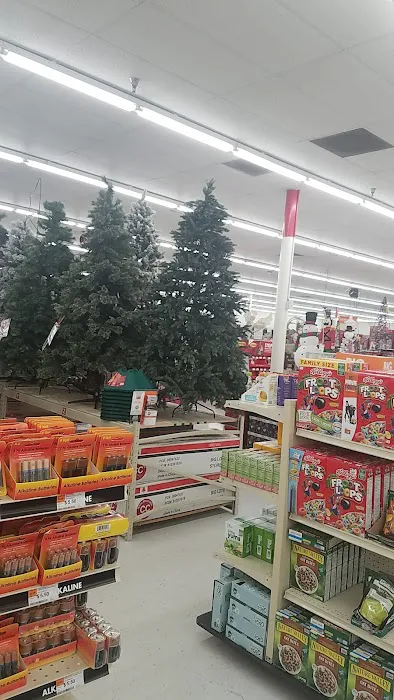 Big Lots 1