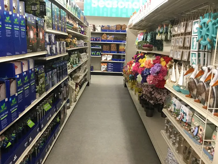 Big Lots 4