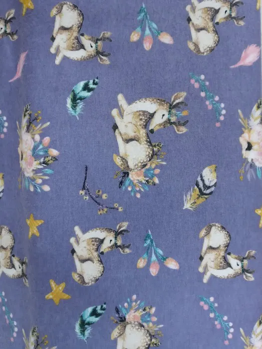 JOANN Fabric and Crafts 2