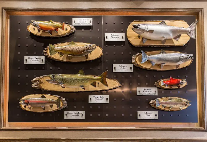 Cabela's 3
