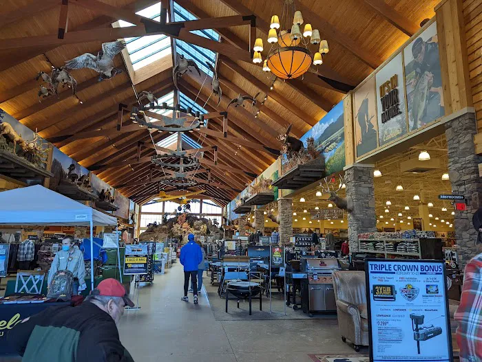 Cabela's 8