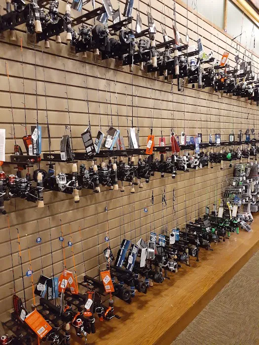 Cabela's 1