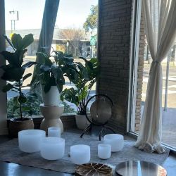 Bliss Wellness and Beauty ico