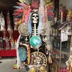 BOTANICA VARGAS ico
