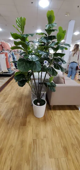 HomeGoods 2
