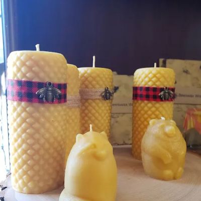The Twisted Twig Studio & Gifts