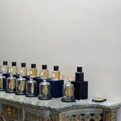 Trudon - Melrose ico