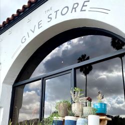 The Give Store ico