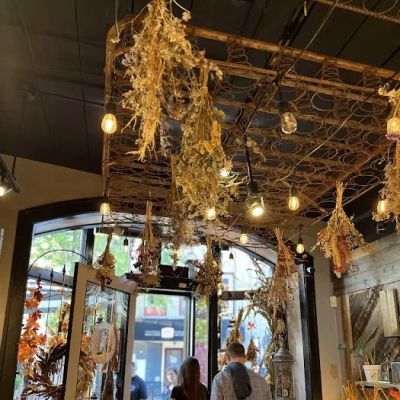 Element Tree Essentials