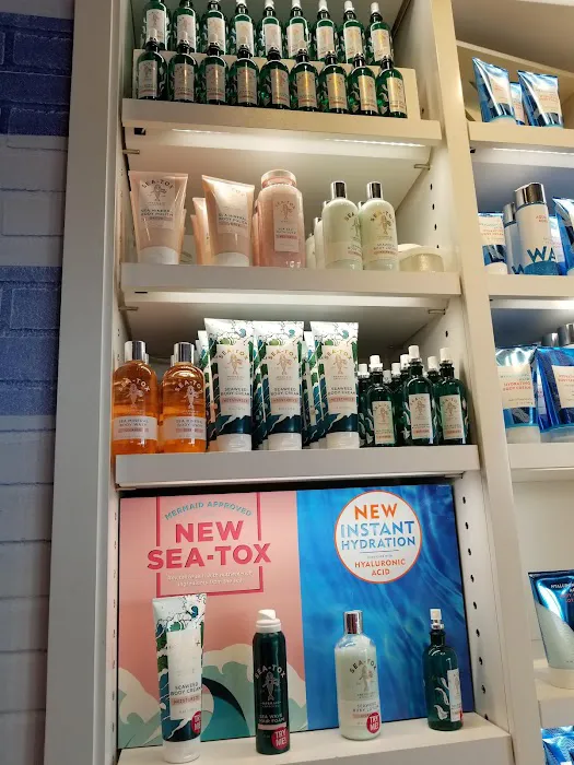 Bath & Body Works 8