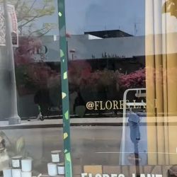 Flores Lane ico