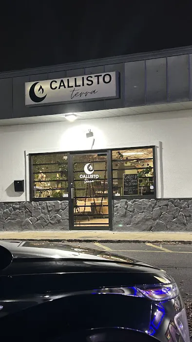 Callisto Terra 2