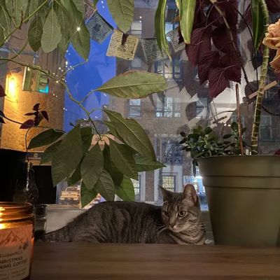 FlickerMill Candles