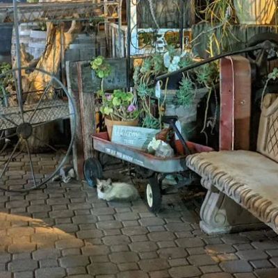 A Secret Garden